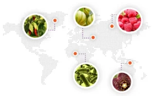 mejores ingredientes el mundo productos livegood